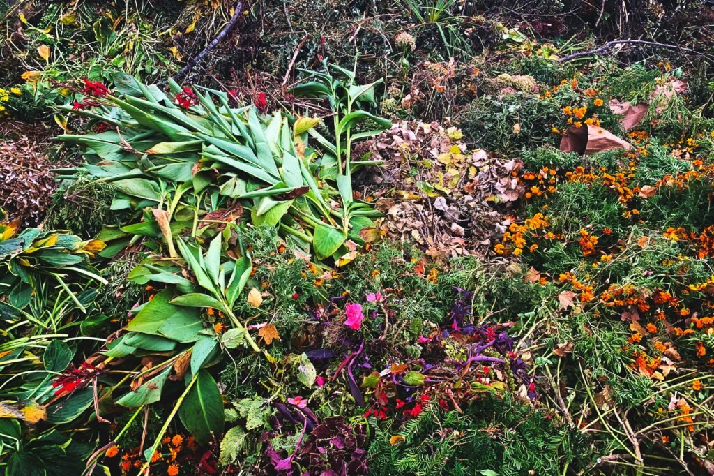 yard waste removal london ontario